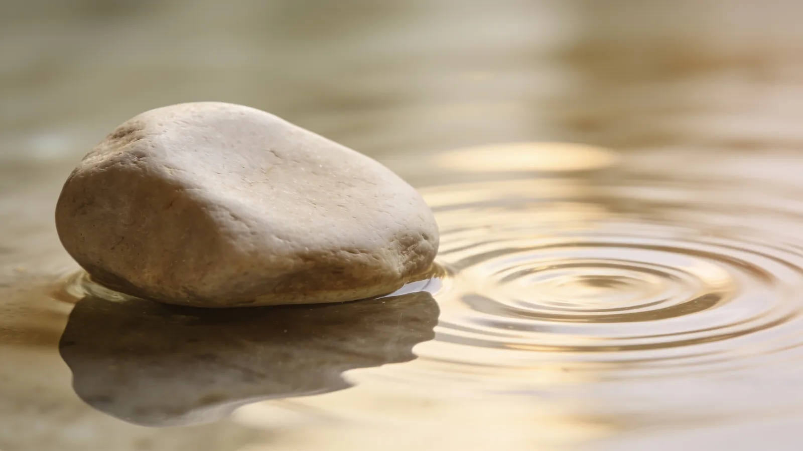 Pale stone beside calm water with soft concentric ripples of light